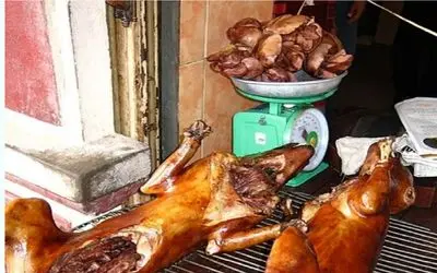 فرآوری سگ؛ سگ‌ها رو درسته و زنده کز میدن سرآشپز ساطوریش میکنه واسه کنار غذا