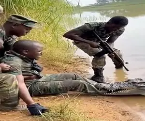 معماری طبیعت؛ آقاهه از خیر پاش گذشت تا بقیشو کروکودیل نخوره