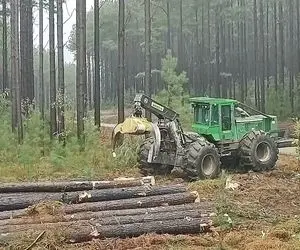 ماشین های پرشگفت؛ چوب و تنه های بزرگ رو طوری درمیارن انگار زمین کیکه