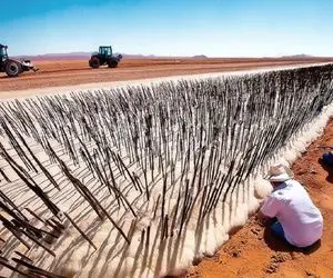 مستند کشاورزی؛ کوددهی بیابان با 100ها هزار تن پشم گوسفند برای سبز شدن