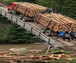 معماری طبیعت؛ انقد چوب بار خاور کردن که یهو طاقت پل تموم شد خودشون و چوبا رو آب برد