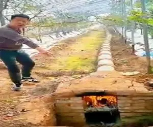 کشاورزی نوین؛ کوره زمینی ساختن تو گلخونه درختا رو سرما نزنه  بارشون ترکوند انقد زیاده