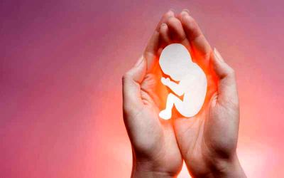 چرا احتمال سقط جنین در سه ماه اول بارداری خیلی بیشتر است؟