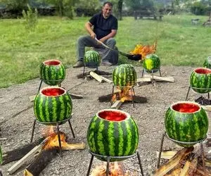 غذای هندوانه ای؛ جوجه هایی که تو هندوانه طعم دار و بیات میشن همون جور می رن رو آتیش