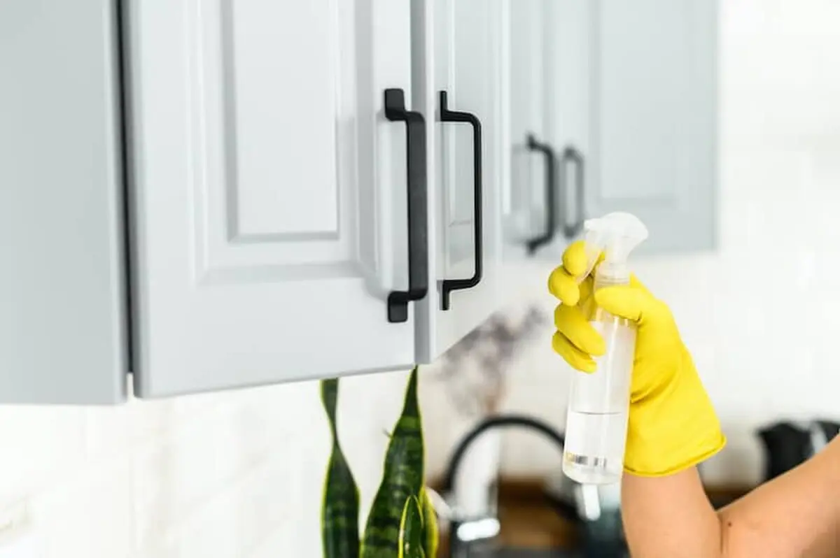 Fixing-Smelly-Cabinets-1