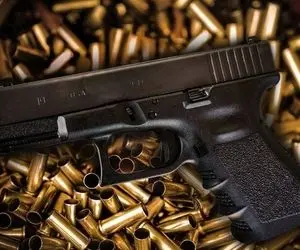 دستور برای دستگیری عوامل تیراندازی در پارک پامچال کرج 