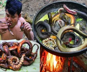 کباب پیتون؛ 10نوع پیتون ریز و تو روغن تفت داد سوخاری بشه با سس قارچ سرو کرد