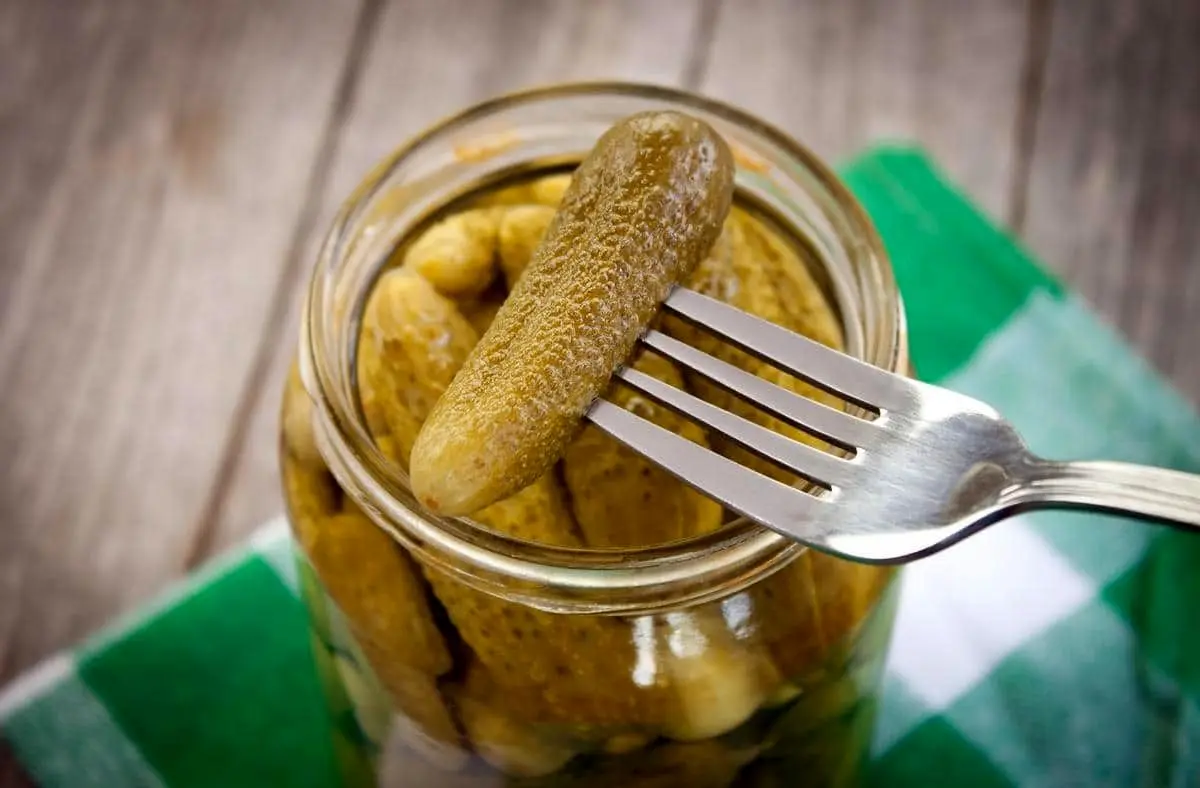 چیکار کنیم خیارشور کپک نزنه؟/ رازهایی که هیچکس نمیگه تا واسه مدت ها خیارشو خراب نشه چیکار کنیم خیارشور کپک نزنه؟/ رازهایی که هیچکس نمیگه تا واسه مدت ها خیارشو خراب نشه