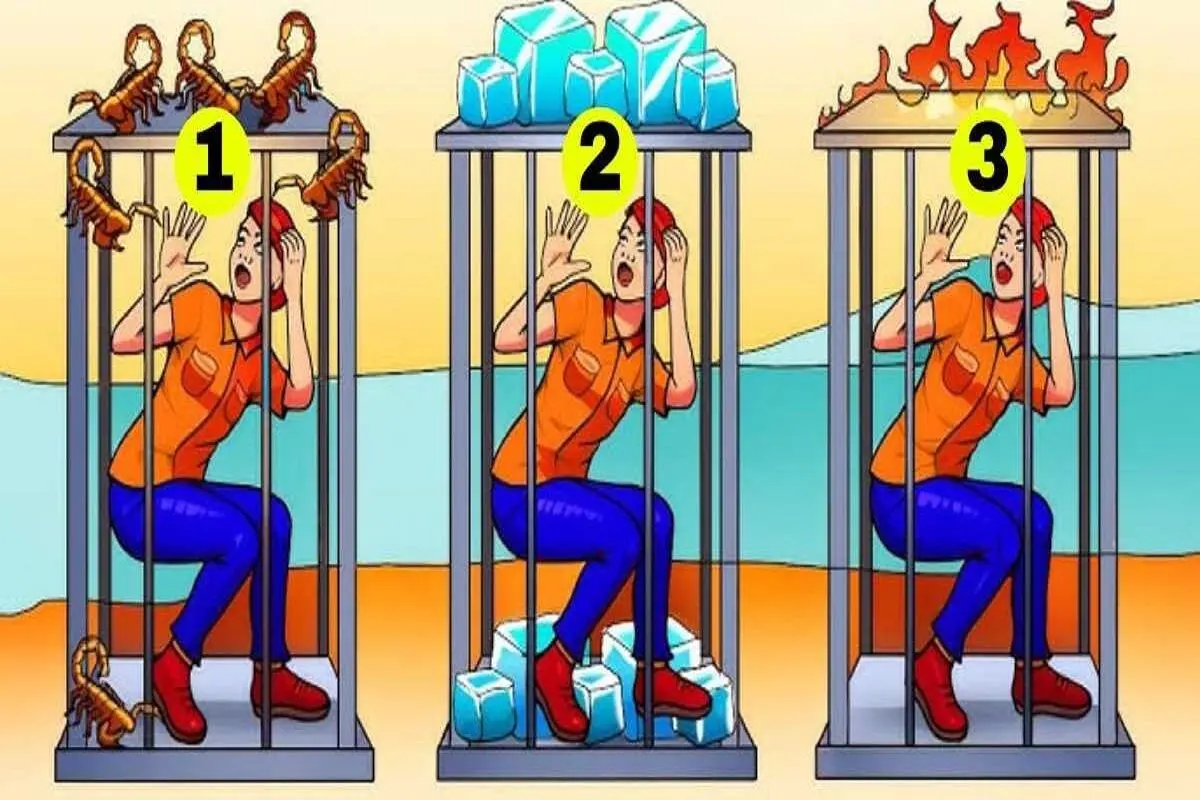 تست-هوش-با-قفس-امن-2