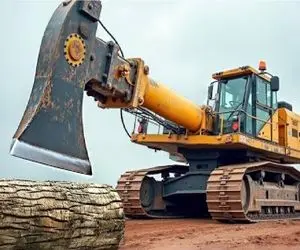 ابزارآلات غول پیکر؛ مهارت های اپراتور بیل مکانیکی در برش درخت بعد تبدیل شدن به تبر