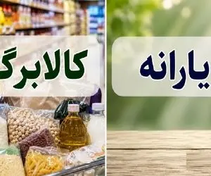 واریز کالابرگ و یارانه معیشتی تیر1405| واریز مبلغ 56.000.000 برای خانواده های 4نفره