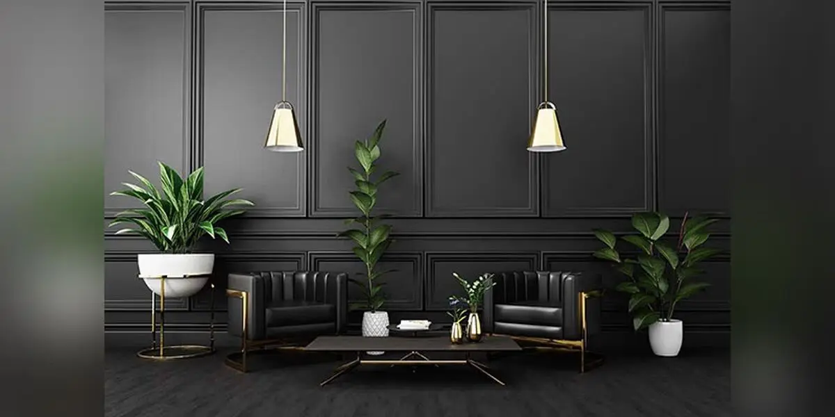 گیاهان آپارتمانی مخصوص خانه تاریک
