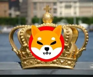 علت پادشاه نامیدن شیبا اینو میان دیگر ارزها؟