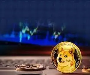 به آینده دوج کوین امیدوار باشیم؟