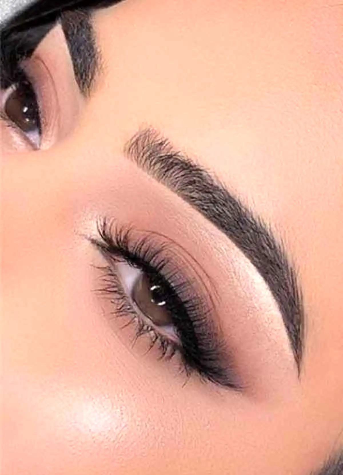 ساده7