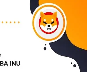 امیدی به شیبااینو  هست یاخیر؟