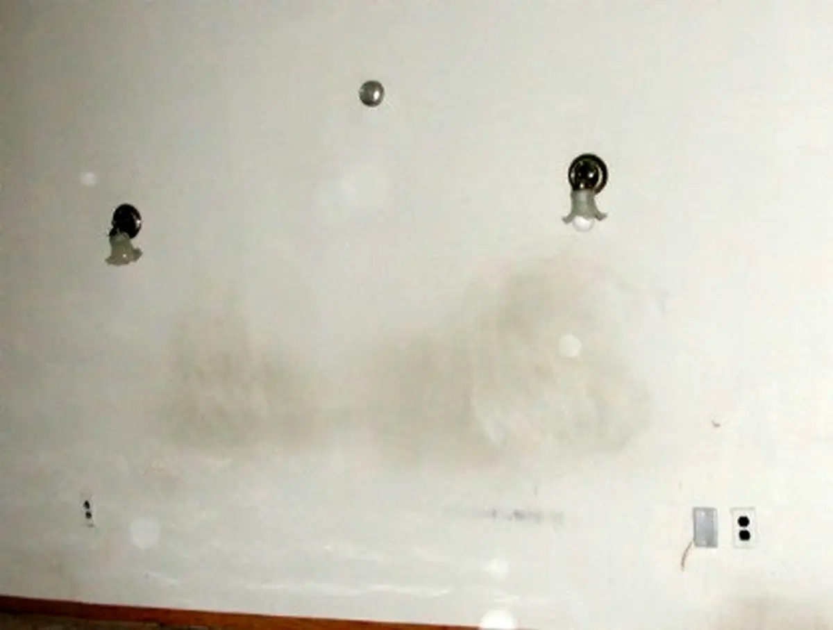 تمیز-کردن-دیوار-گچی-از-لکه-های-سیاه