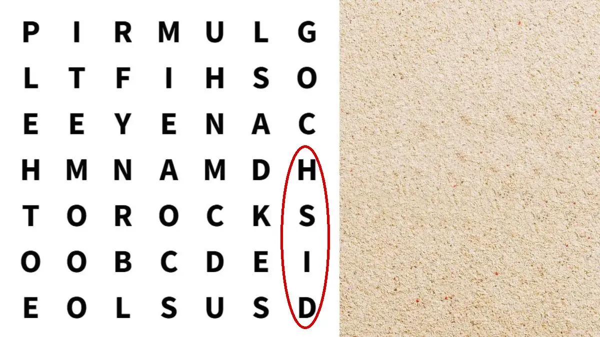 پاسخ-تست-هوش-یافتن-کلمه-DISH