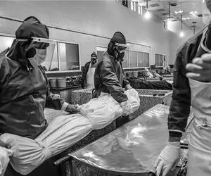 آمار وحشتناک فوتی های کرونا؛ 536 مورد مرگ!