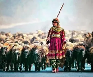 مطربی خیابانی؛ این دختر چوپان با لباس سرخ و سازش به یاد دختر چوپون چه دلنواز می نوازه