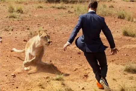 معماری طبیعت؛ منم جا مرده بودم میترسیدم به خودم 