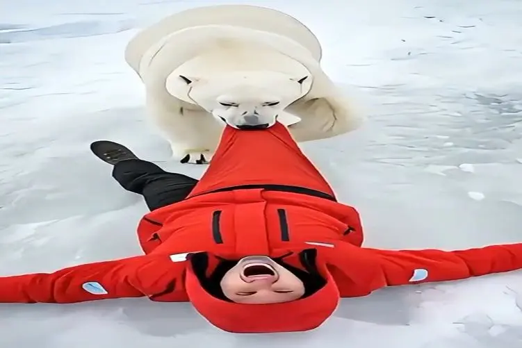 معماری طبیعت؛ خرس قطبی مرد رو پاچه کشون برد بچه اش رو از مهلکه نجات بده