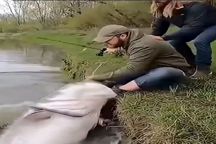 معماری طبیعت؛ شیرماهی برای ناهار هوس آدم کرد