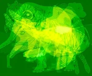 بازی فکری؛ با دیدن اولین حیوان مخفی تو عکس یه سر بزن به ته‌و‌توی شخصیتت که قایم شدن