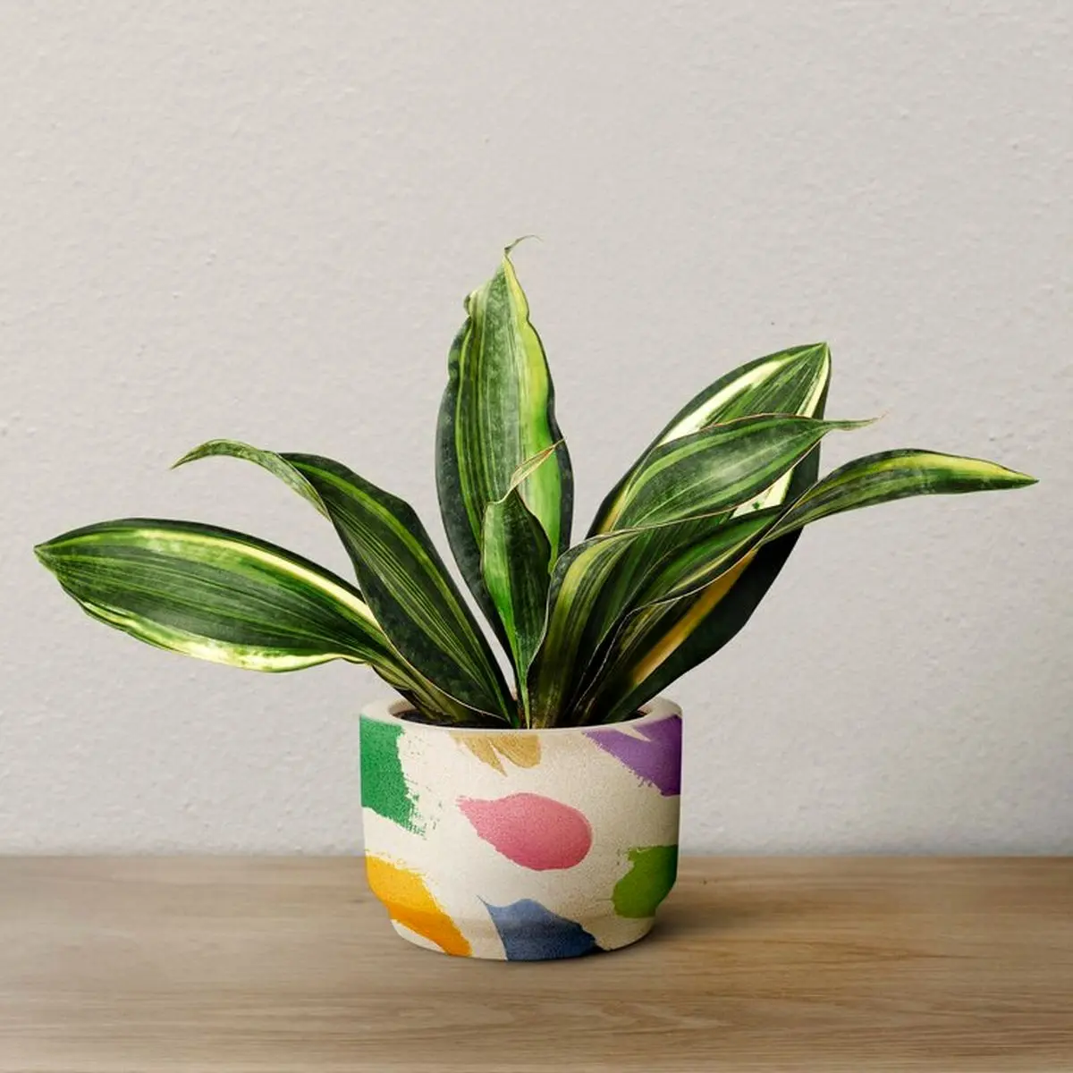 snake-plant-colorful-pot_53876-126207