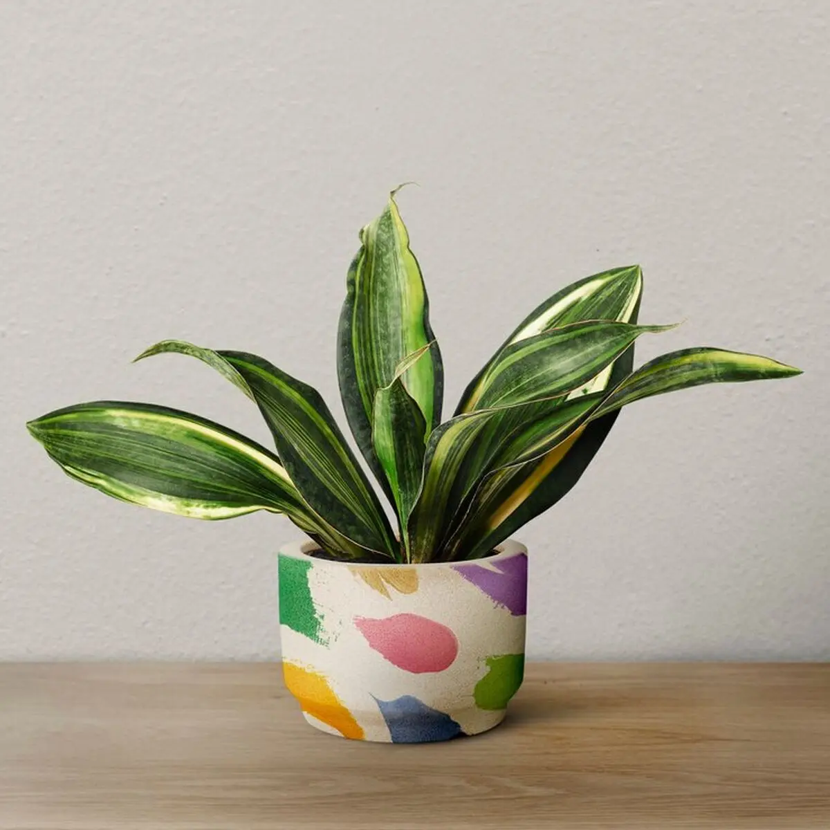 snake-plant-colorful-pot_53876-126207