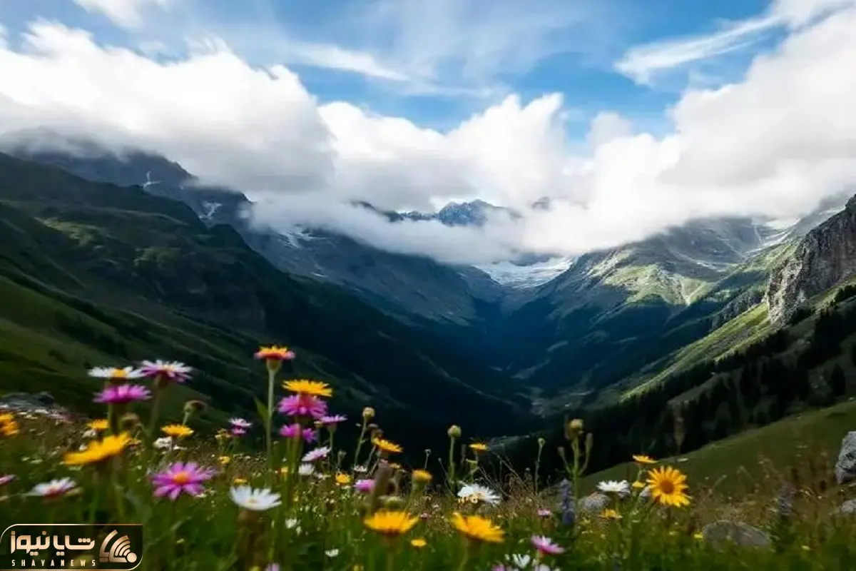 بازی فکری؛ از هر 2000 نفر 3 نفر موفق شدن زنبور استتار کرده تو دشت رو پیدا کنن