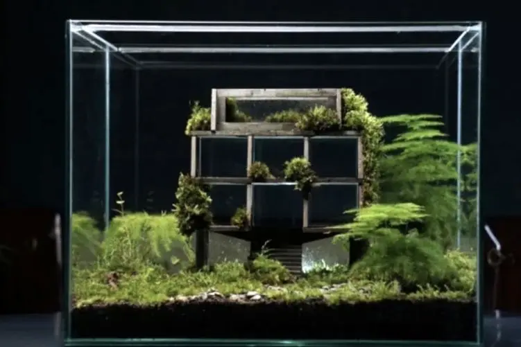 معماری خلاقانه؛ موندوبروتو زایش حیات از دل معماری بروتالیسم