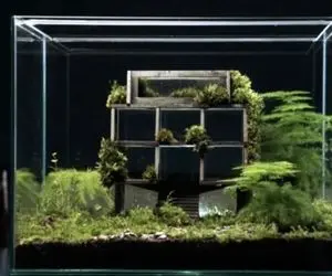 معماری خلاقانه؛ موندوبروتو زایش حیات از دل معماری بروتالیسم