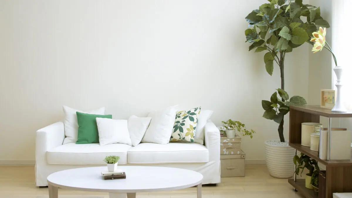 decor-02