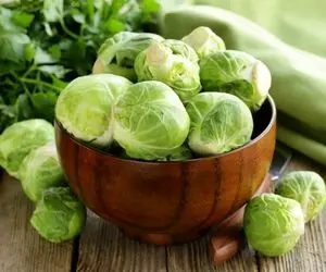 آیا کلم بروکسل همان کلم پیچ است؟