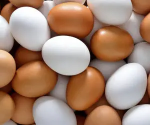 قیمت تخم مرغ امروز چهارشنبه 1 بهمن ماه 99