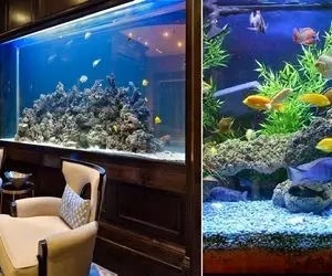 تمیز کردن آکواریوم / فوت و فن تمیزی آبش رو گفتم اینجوری ماهیا واست بوس میفرستن