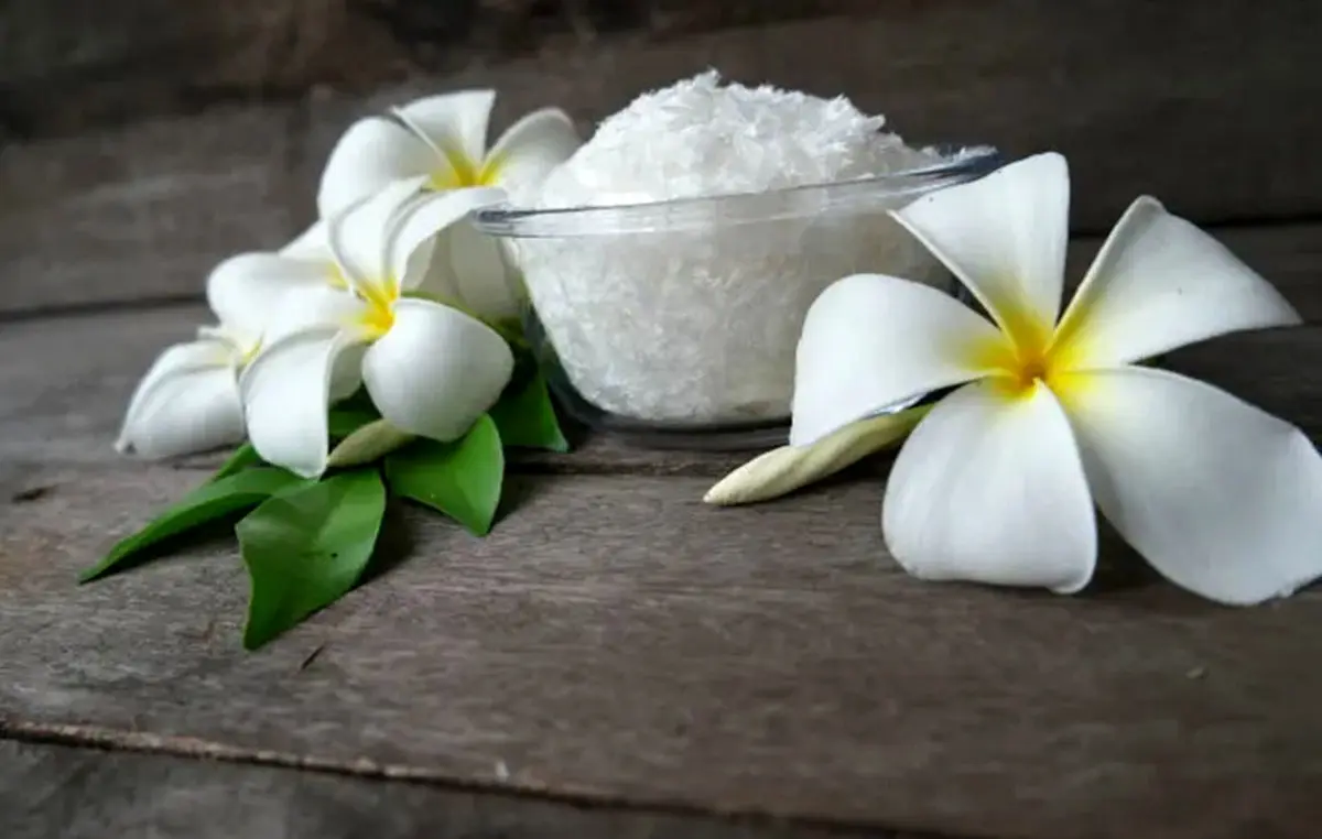 Deodorize-the-bathroom-06