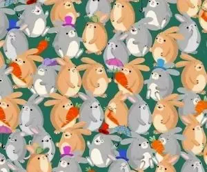 بازی فکری؛ اگه چشمات از آلغ هم اونورتر رفته موش رو از بین خرگوشای بازیگوش پیدا کن