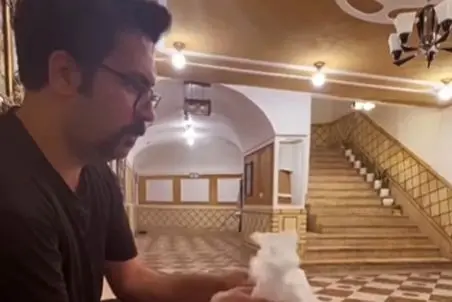 آواز اصیل؛ وقت میگن ایرانیا از هر انگشتشون هنر میباره اینه با سفره یبار مصرف آهنگ زد