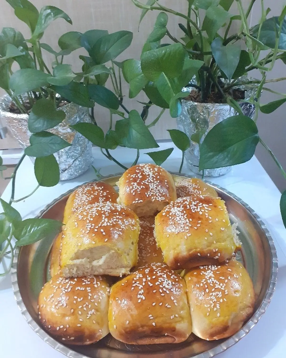 nan-havij-6