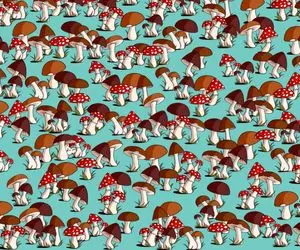 هوش تصویری؛ ادعا داری که خیلی مُخی و تیزبین پس اگه میتونی موش رو تو این عکس پیدا کن!