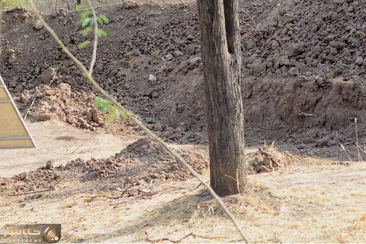 بازی فکری؛ حتی خلبان های آمریکایی ام نتونستن پلنگ استتار کرده رو پیدا کنن