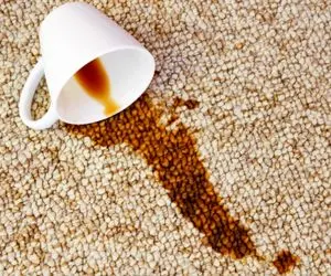 ترفندای خونگی برای رفع لکه از فرش؛ با این چند تا کار یه حال حسابی به فرشت بده 