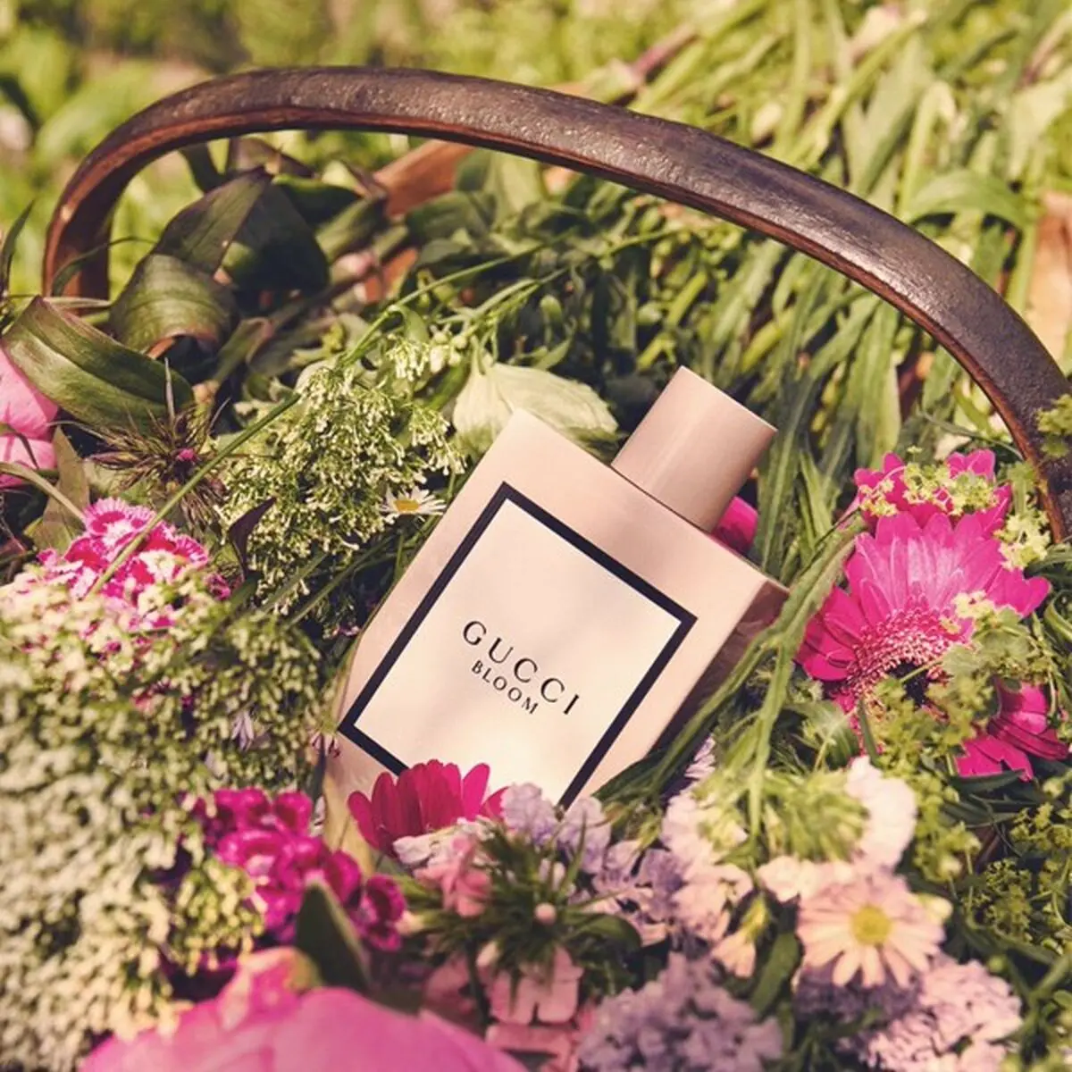 عطر های محبوب برای خانم ها