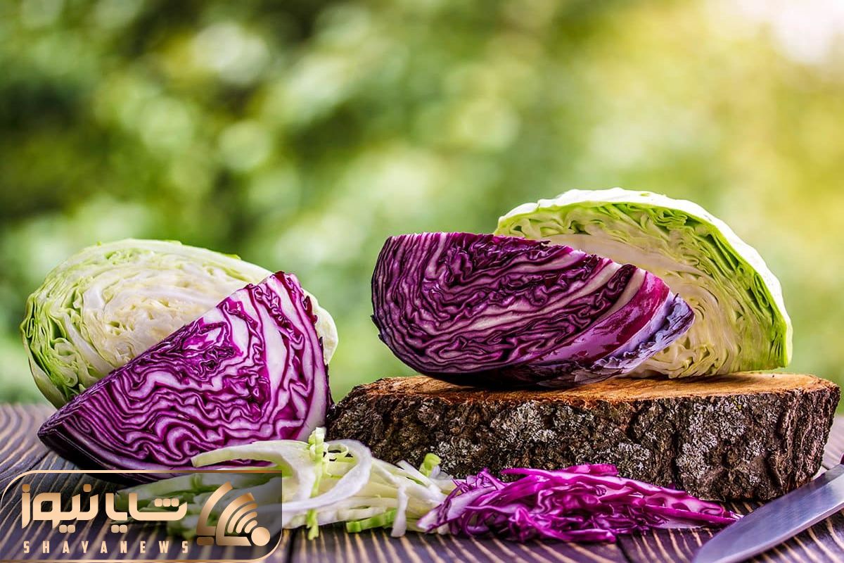 Impressive Health Benefits of Cabbage