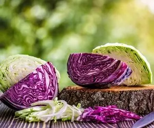 خواص باور نکردنی کلم پیچ که بخونی کَفِت میبره؛ هم خوشمزه است هم خیلی مقوی