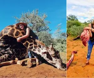 قلب زرافه؛ هدیه‌ی زن سنگدل برای روز ولنتاین!