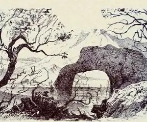 بازی فکری؛ اگه بینایی تیزبینانه‌ای مثل عقاب با دید ۶/۶ داری پس بگو چند تا حیوان هست