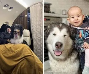 جنجال جدید سردار آزمون و دختر روس؛ این بچه شبیه سردار است؟+عکس